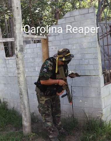 Caroline Reaper